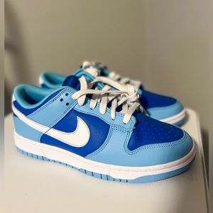 Nike Dunk Low Retro Argon 2022